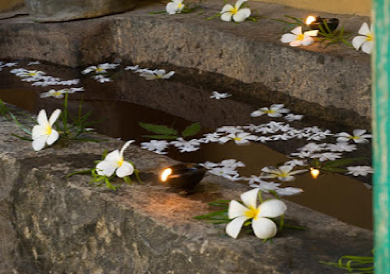 Jetwing Ayurveda Pavilions