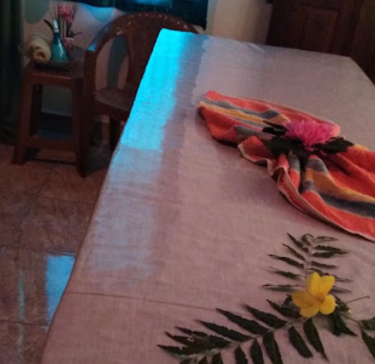 Diona Ayurvedic Spa
