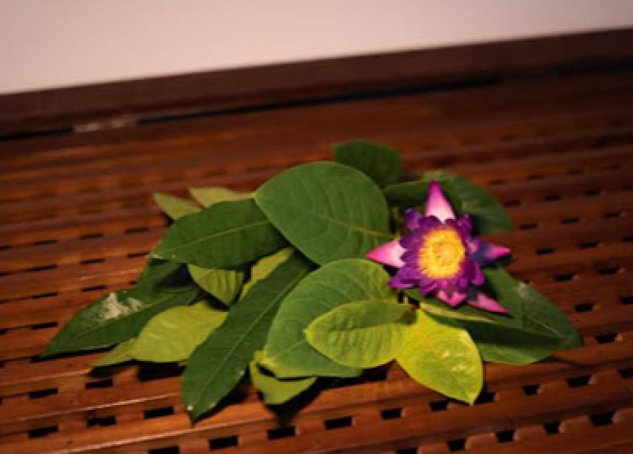 Princess spa and Wellness ahangama