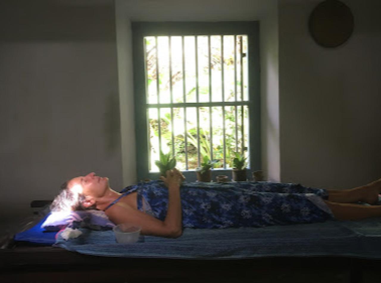 The Willows- Ayurvedic center , Spice and Herbal Garden