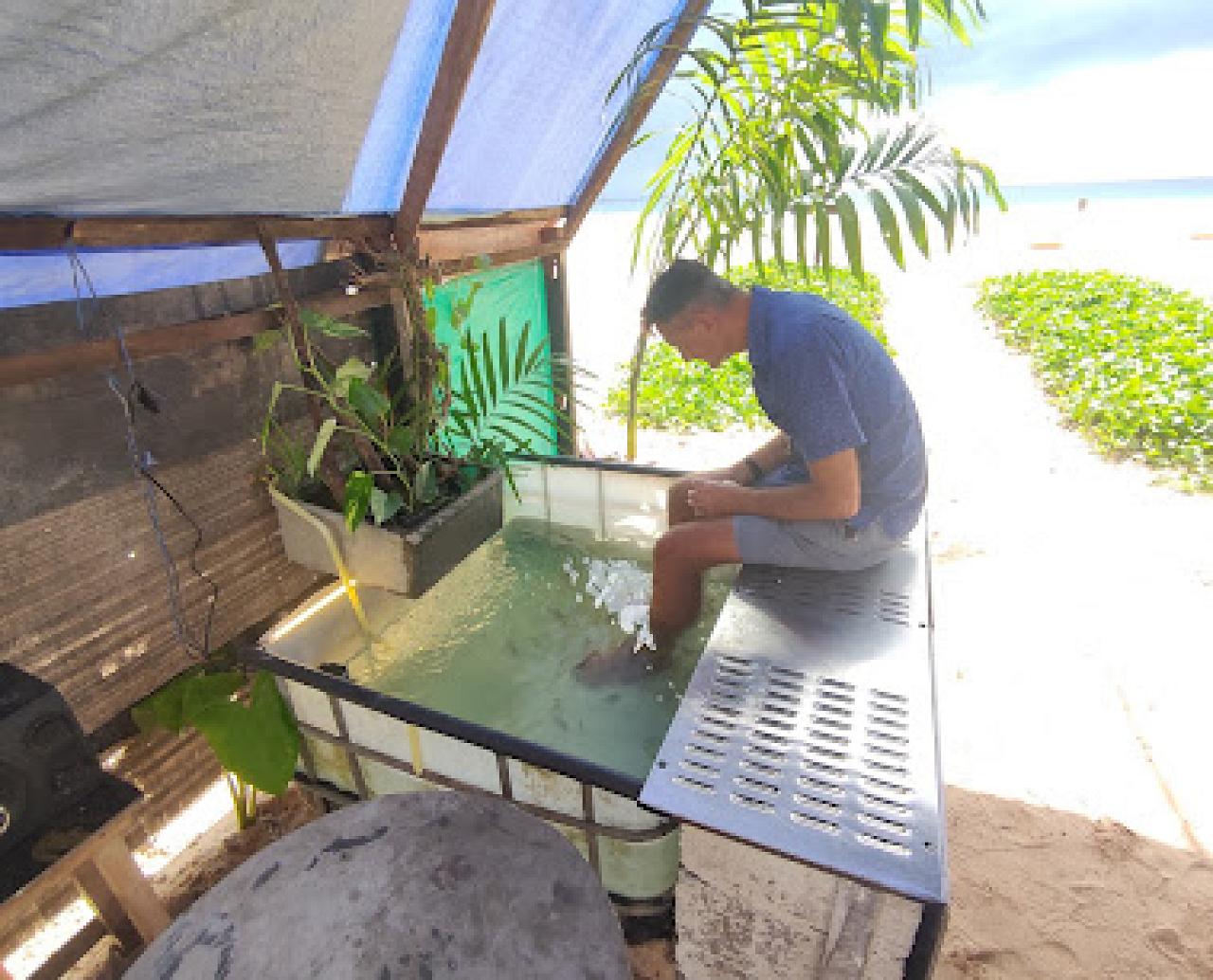 Yash Fish Therapy