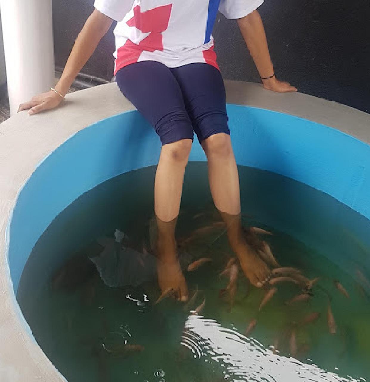 Dazzling Fish Spa