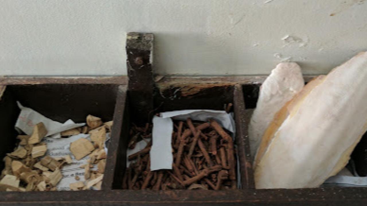 Littoral Ayurveda Health Centre