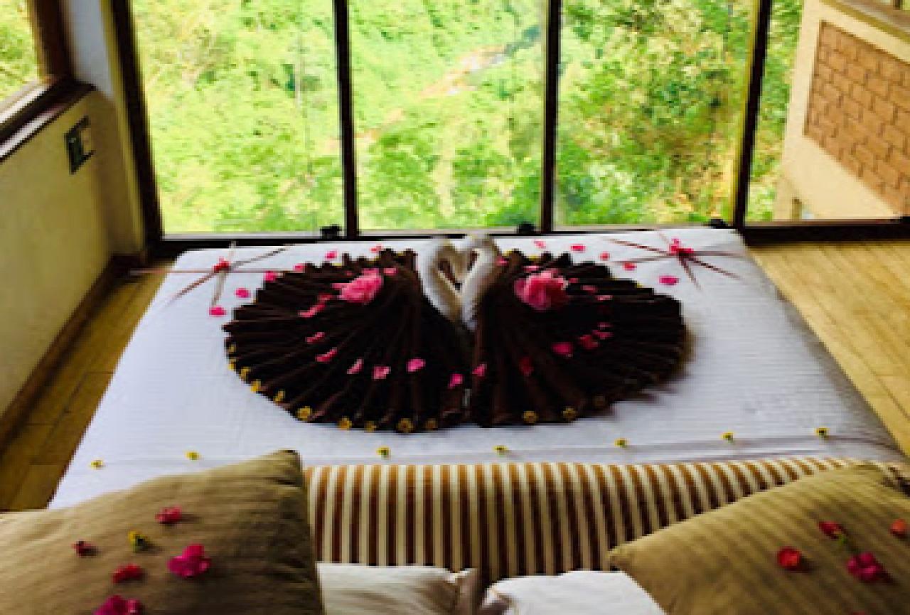 The Tea Cottage Resort & Spa