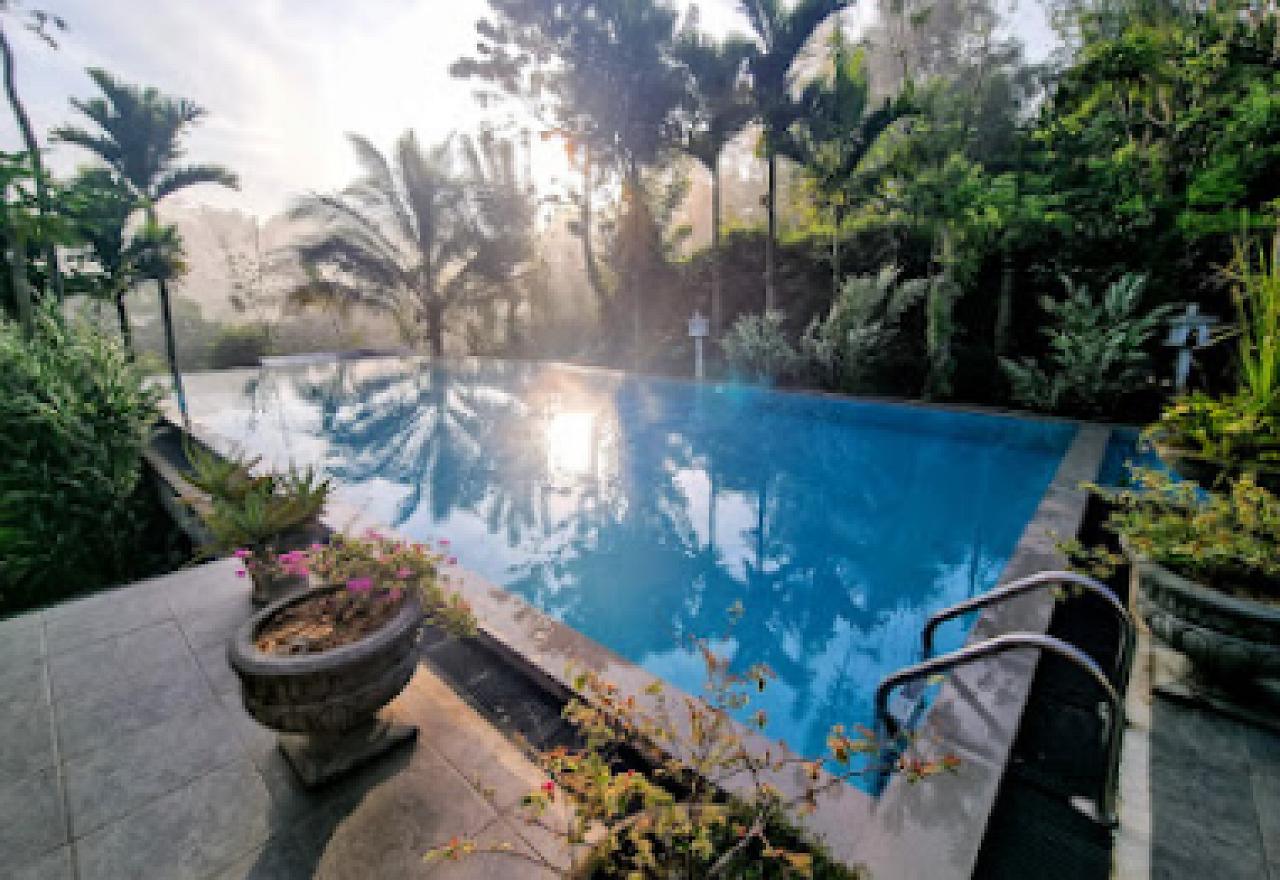 Tea Heights & Spa