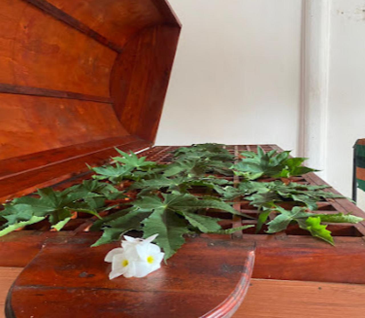Glow Ayurveda Herbal massage