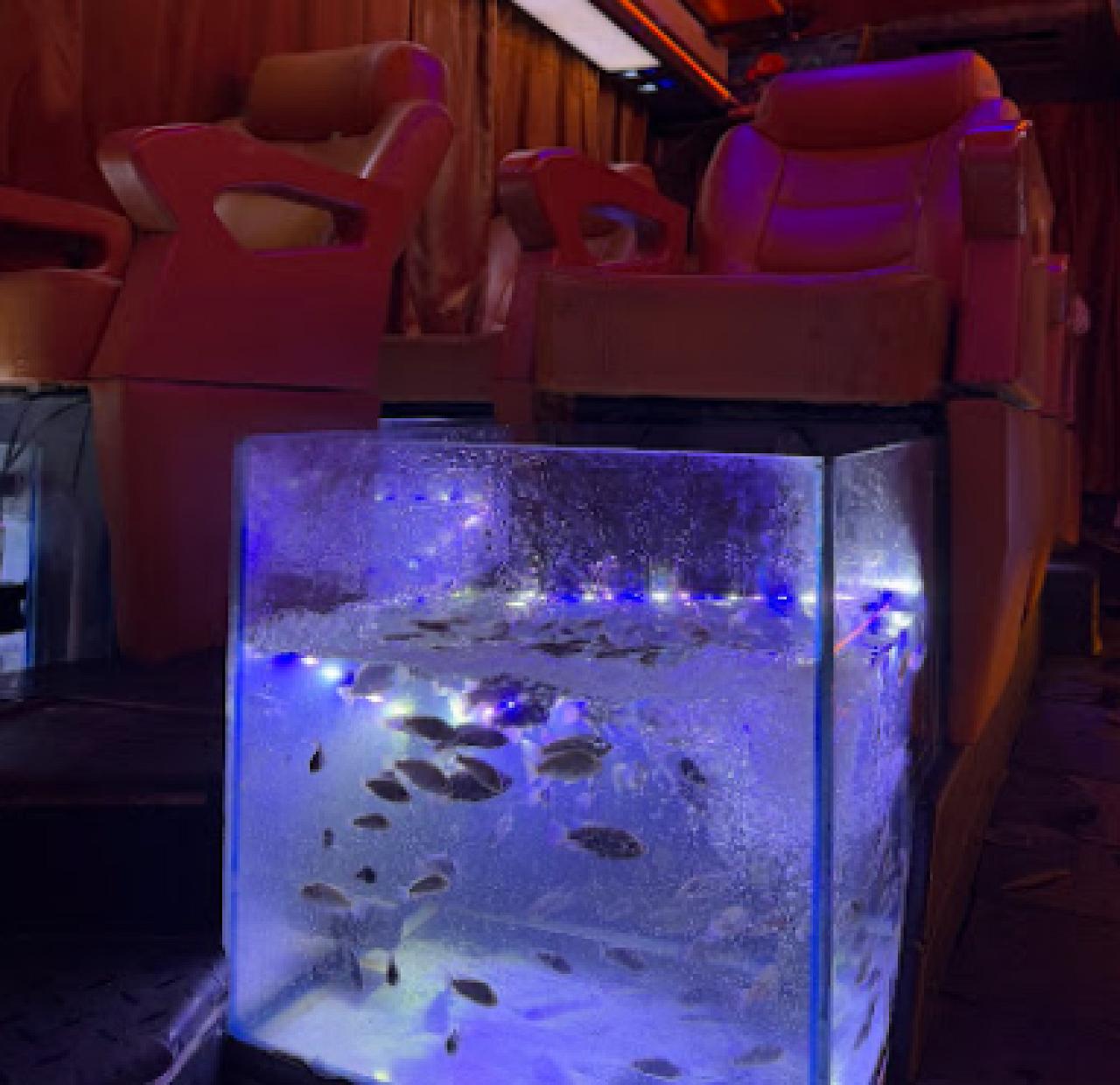 Gara Fish Therapy