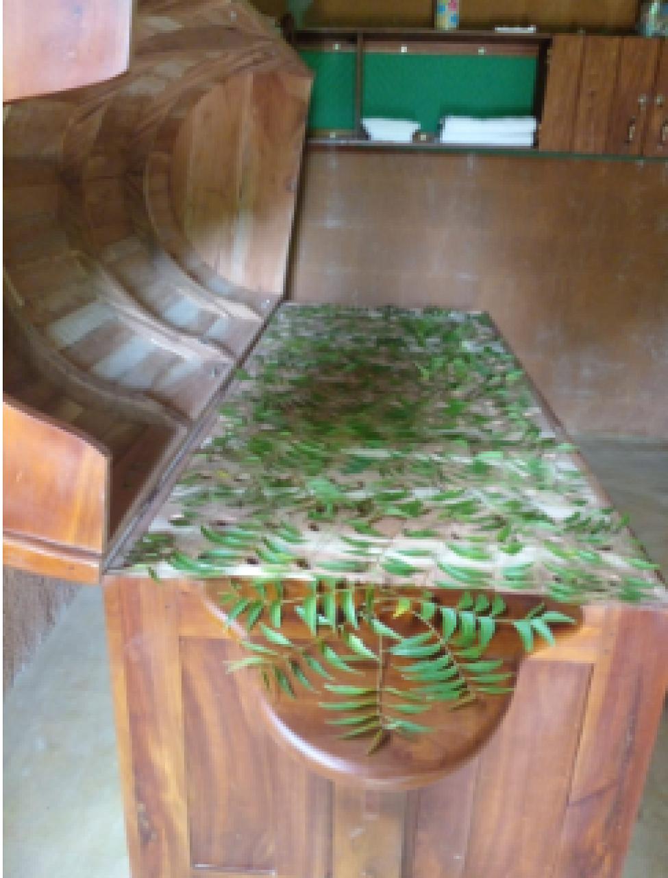 Santharpana Ayurveda Ashram | Ayurveda & Massage in Sigiriya