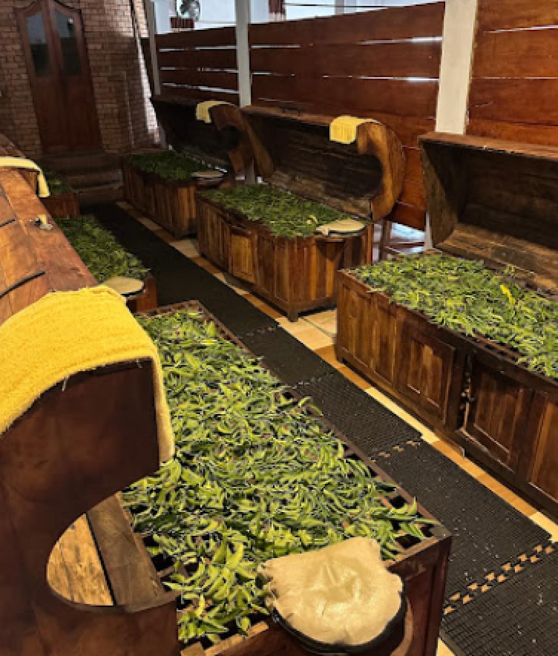 Habarana Ayurveda Center