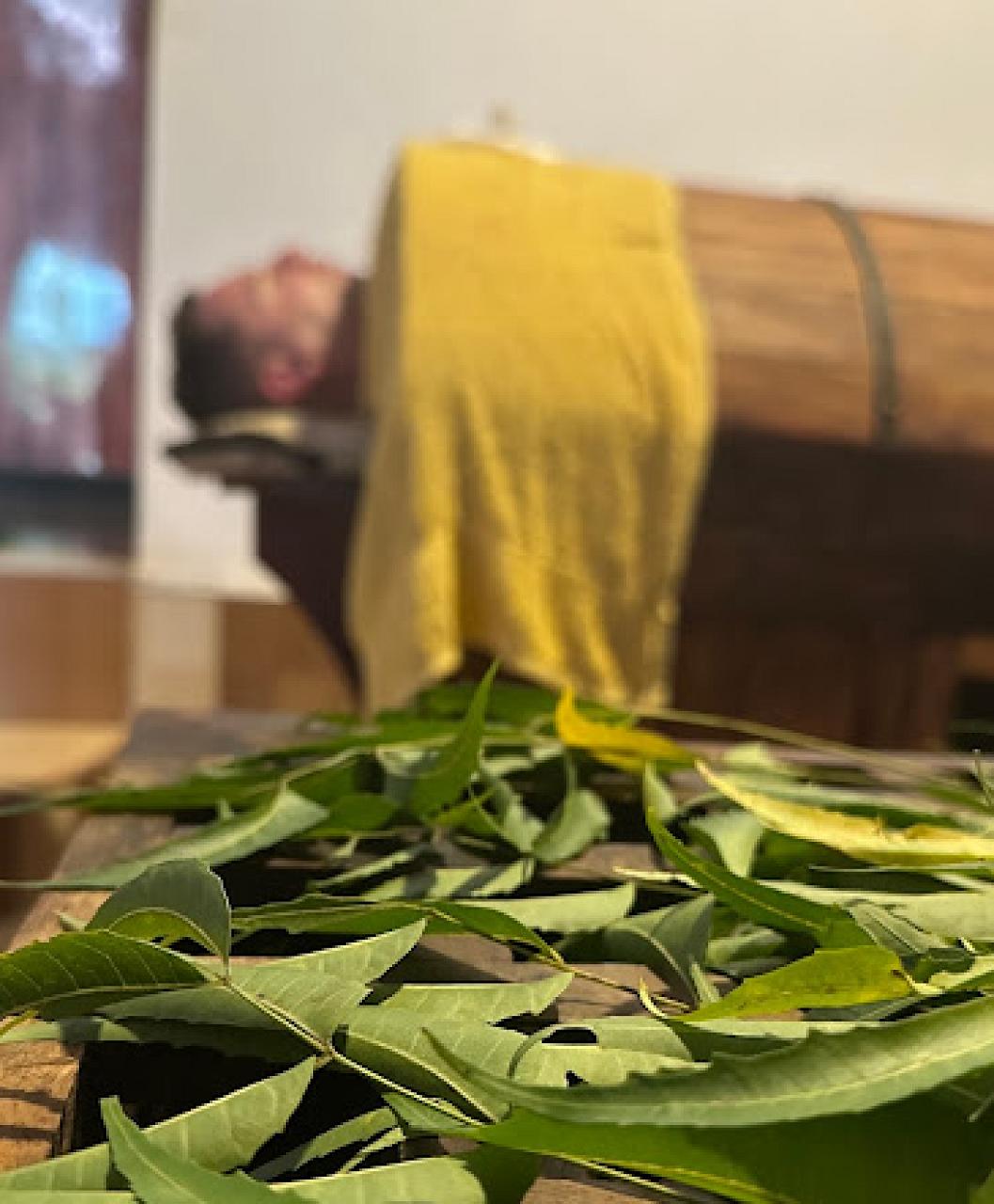 Habarana Ayurveda Center