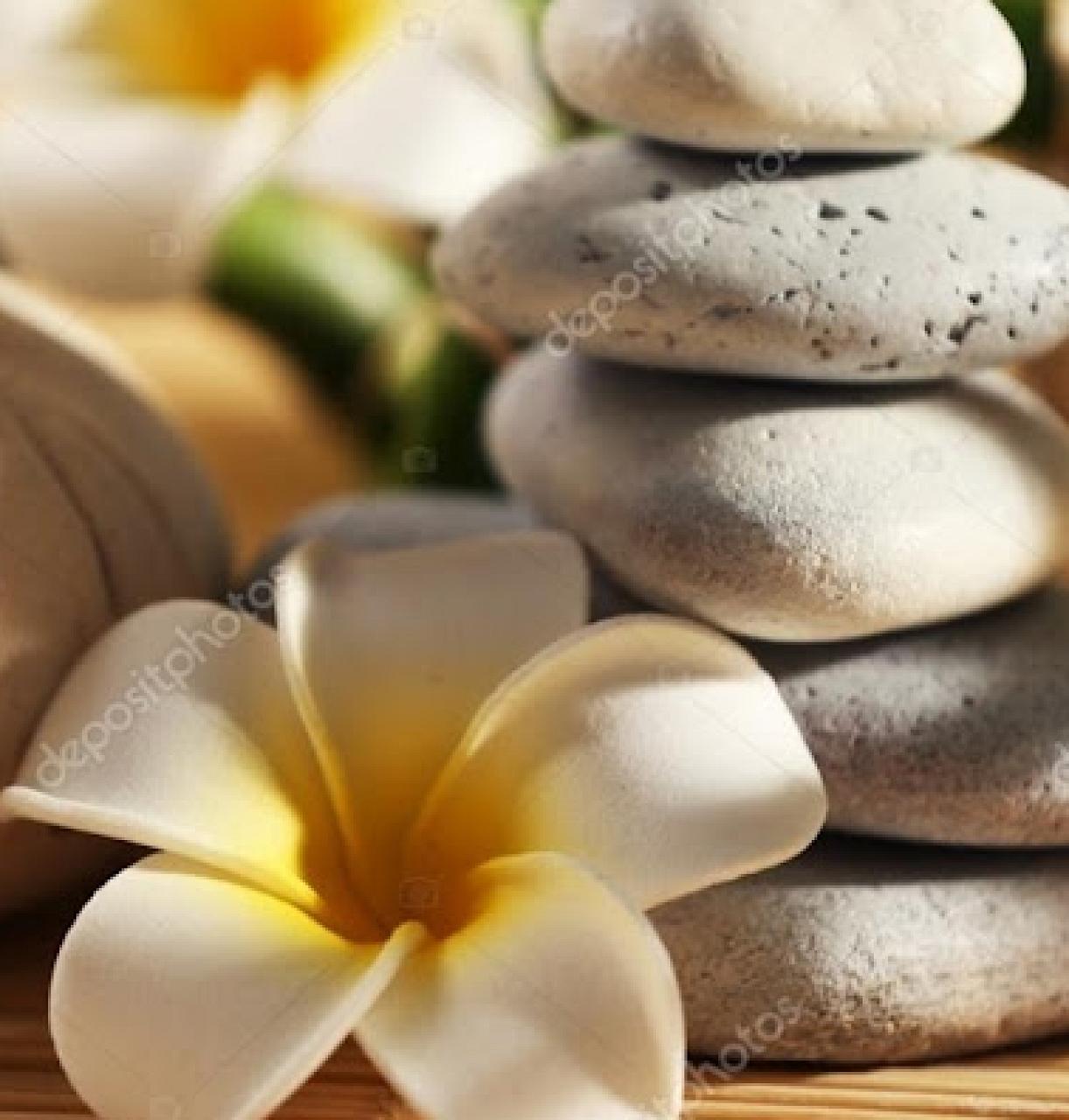 සුවසෙත spa habarana