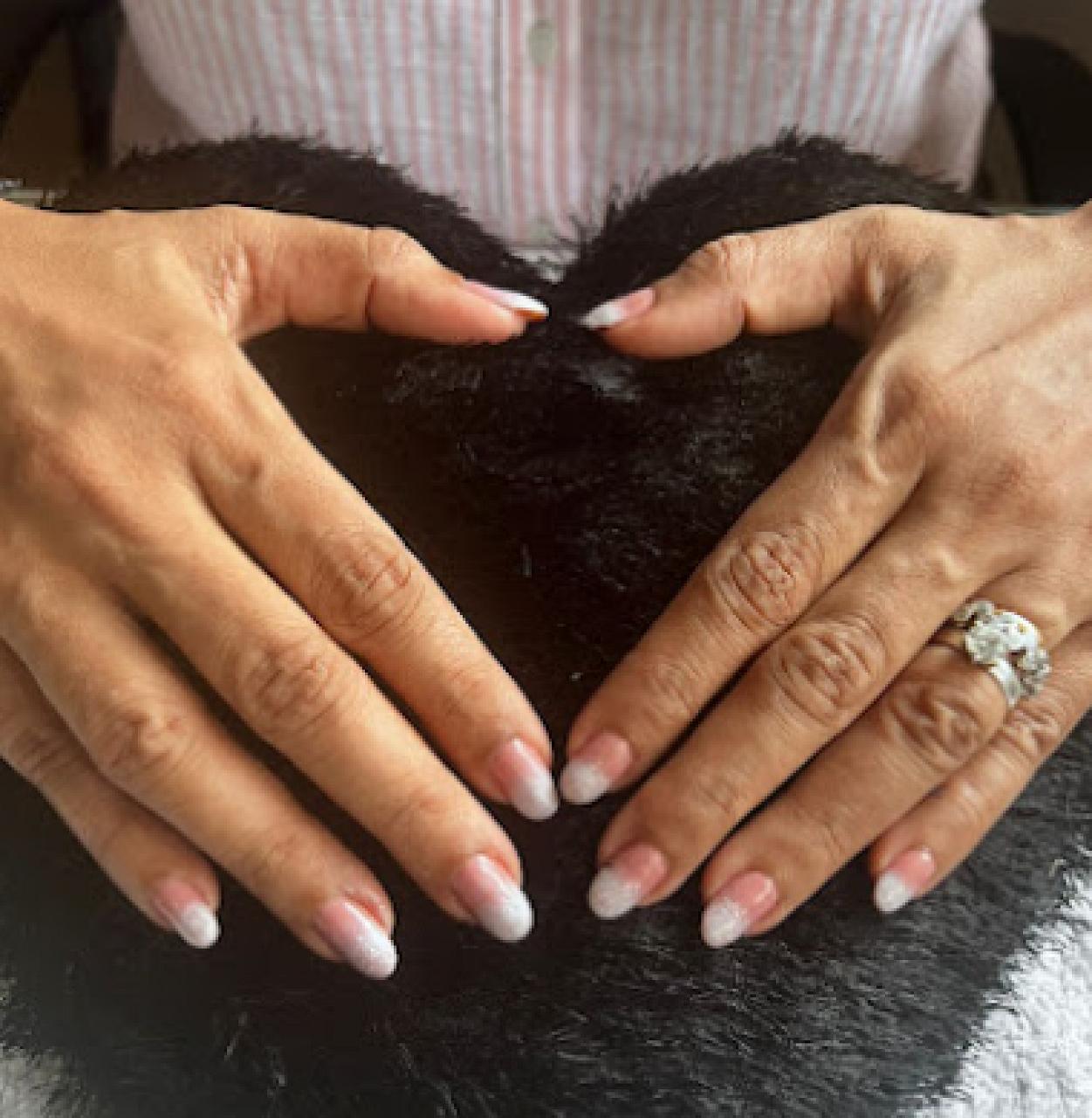 The Nail Lounge By Vani